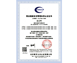 職業(yè)健康安全管理體系認證證書